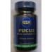 Fucus 50 comprimidos GSN 