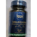 Valeriana 80 comprimidos GSN en Herbonatura.es