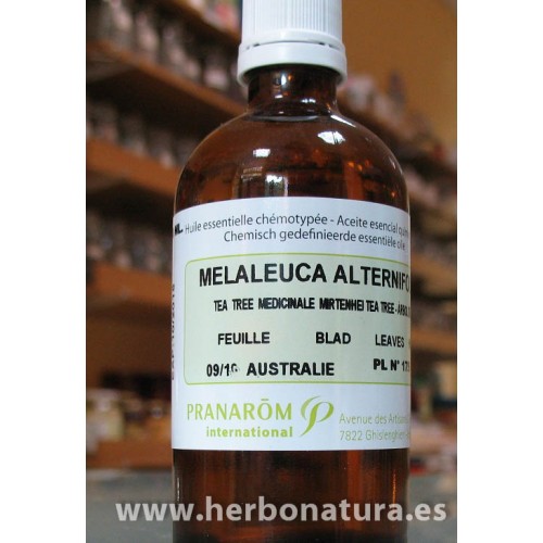 Aceite Esencial Arbol del Té alternifolia) 100ml. PRANAROM Herbonatura.es