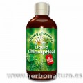 Clorofila Líquida Chloropheal 120ml. YOUNG PHOREVER
