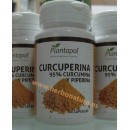 Curcuperina 95% Curcumina y Piperina 60 cápsulas PLANTAPOL en Herbonatura.es