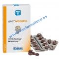 Ergyfosforyl Fosfolípidos Marinos Omega 3 y Cofactores Vitamínicos 60 perlas NUTERGIA