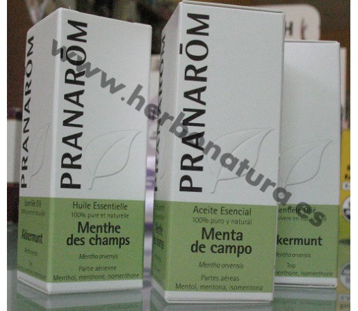 Aceite Esencial Menta de Campo (Mentha arvensis) 10ml. PRANAROM