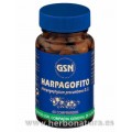 Harpagofito (Harpagophytum procumbens D.C.) 60 comprimidos GSN