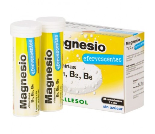 Magnesio Con Vitaminas B1, B2, B6 Efervescentes 24 comprimidos Vallesol DIAFARM
