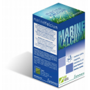 Marine Kalcium Huesos fuertes y sanos Vitaminas D3, K2 y Magnesio 60 cápsulas PLAMECA
