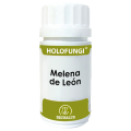 Melena de León (Hericium erinaceus) Holofungi 50 cápsulas EQUISALUD
