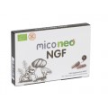 Mico Neo NGF, Bacopa, Reishi, Cordyceps, Melena de león, Camu camu 60 cápsulas NEO