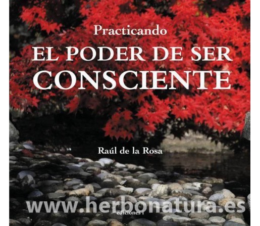 Practicando el Poder de Ser Consciente Libro, Raúl de la Rosa EDICIONES i