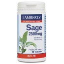 Salvia, Sage 2500mg, 90 comprimidos LAMBERTS